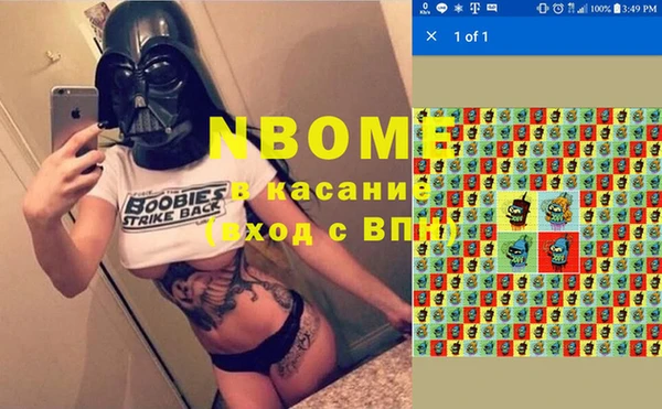 хмурый Карпинск