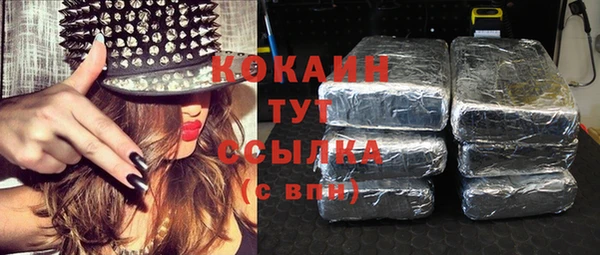 хмурый Карпинск