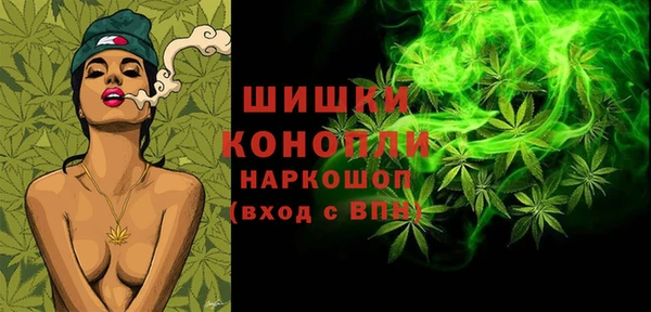 хмурый Карпинск